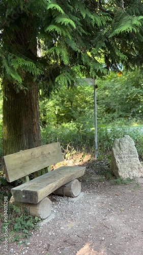 wooden bench in the park