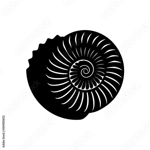 Black and white spiral shell on transparent background silhouette