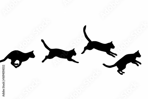 black cat silhouette. cat jumps