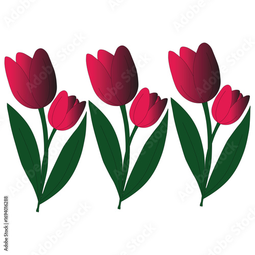 Wallpaper Mural Three red tulips with green leaves isolated on white background illustration Torontodigital.ca