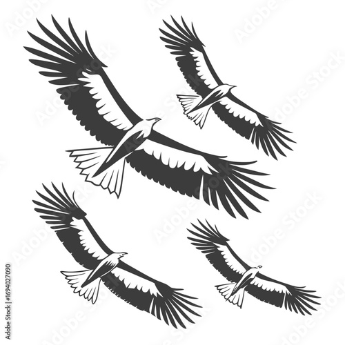 Four dark eagles soaring across white background bird flying