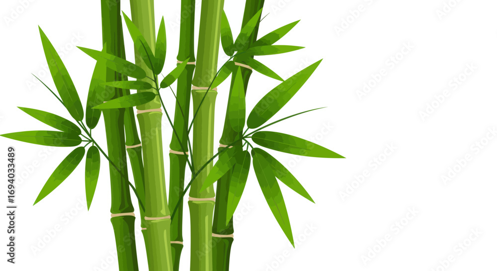 Naklejka premium Fresh Green Bamboo Stalks with Pointed Leaves Illustration
