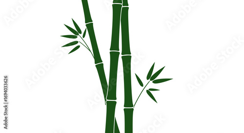 Two Dark Green Bamboo Stalks with Foliage Silhouette