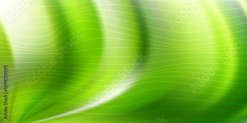 Abstract Green Background With Smooth Lines