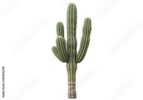 Majestic Desert Cactus A Detailed CloseUp on transparent background
