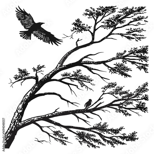 Bird flying near bare tree branches silhouette