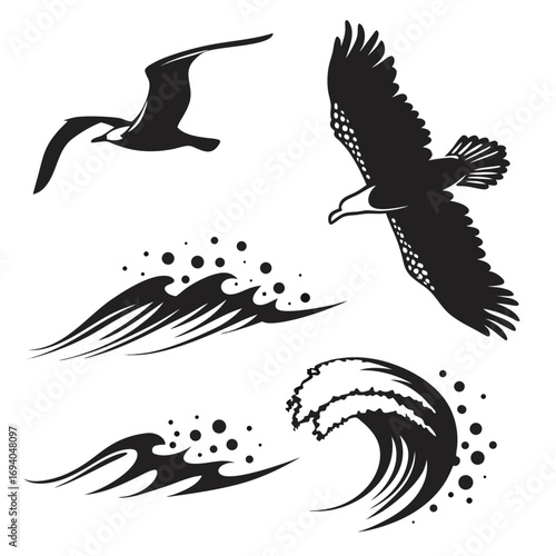Birds soaring over ocean waves eagle seagull