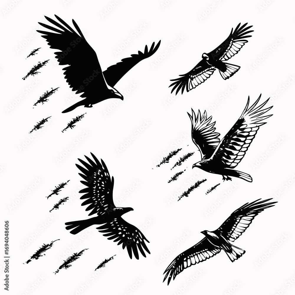 Obraz premium Black eagles in flight with brush stroke accents bird