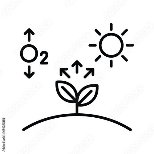 Plant photosynthesis process with sun and oxygen exchange