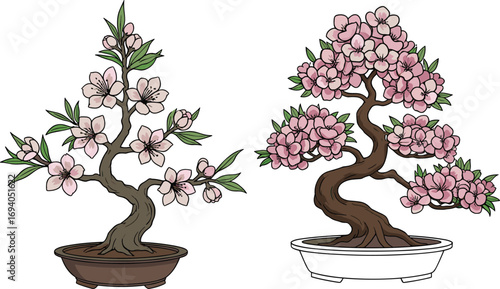 Two beautiful bonsai trees with delicate pink cherry blossoms, artistic potted plants, natural miniature gardens, floral spring decorations, indoor ornamental flowering plants