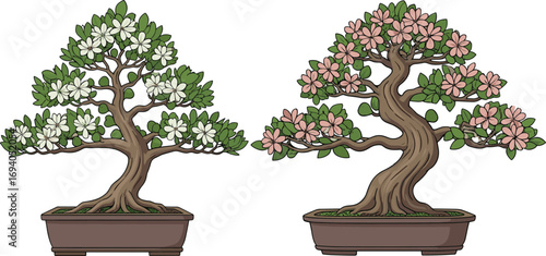 Beautiful bonsai trees in pots with white and pink flowers, lush green leaves, elegant branches, perfect for garden decor, nature art, and design projects.