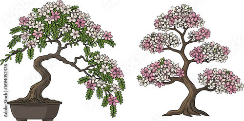 Two elegant flowering bonsai trees with pink and white blossoms, perfect for botanical illustrations, home decoration, garden design, or nature-themed creative projects.