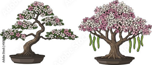 Two beautiful flowering bonsai trees with pink and white blossoms and green pods, ideal for nature decor, botanical design, or garden illustrations.