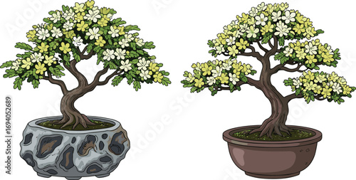 Two flowering bonsai trees in artistic pots, decorated with white and yellow blossoms, ideal for botanical illustrations, home decor, gardening, or nature design.