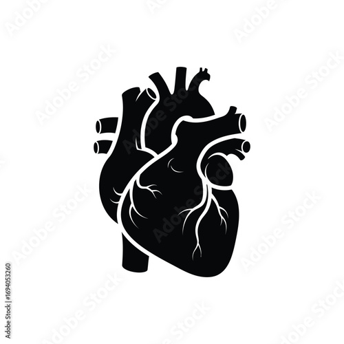 Black Silhouette Of A Human Heart Isolated On White Background With Medical And Healthcare Concepts