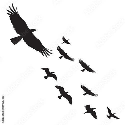 Flock of birds in flight flying silhouettes