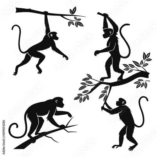Four monkey silhouettes hanging on branches black white