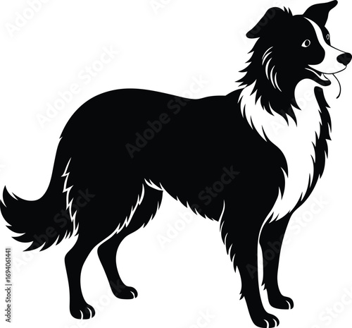  a dog silhouette on transparent backg