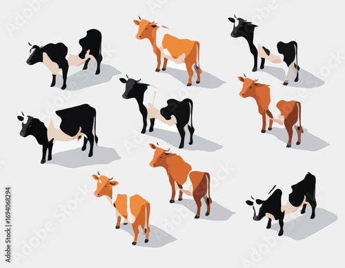 Isometric 3d vector set of cows.