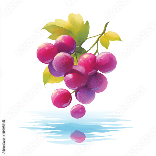 Watercolor Style Bunch of Grapes with YellowGreen Leaves and a Reflection