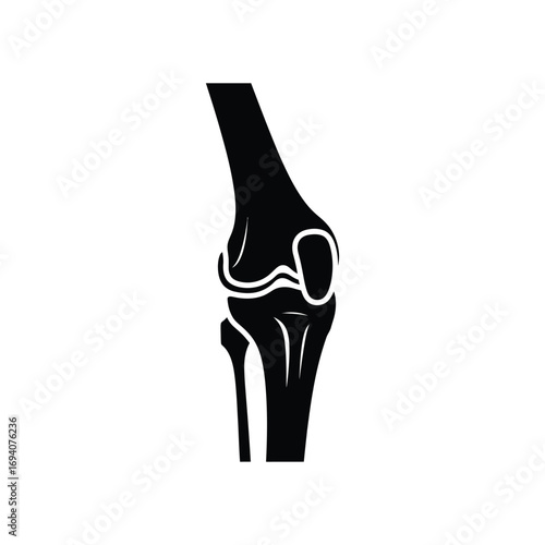 Human Knee Joint Anatomy A Detailed Illustration