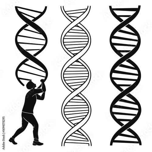 D N A helix and man silhouette double helix science