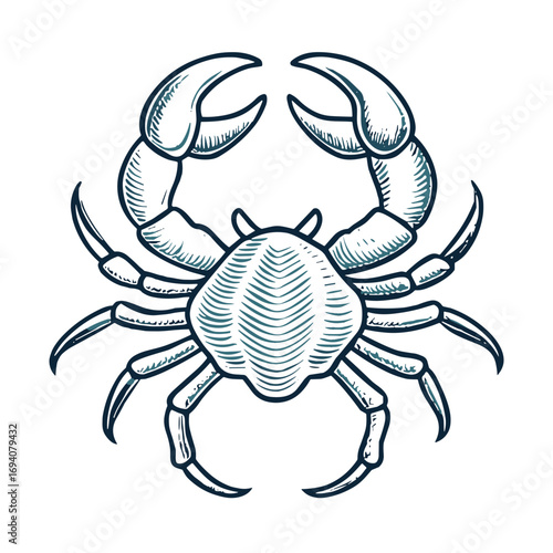 Cancer zodiac sign illustrated as a detailed crab on a blank background