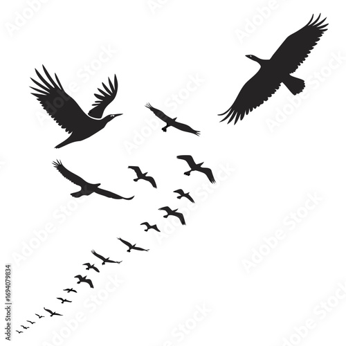 Flock of birds in flight flying silhouette