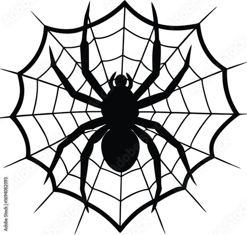 spider on transparent background