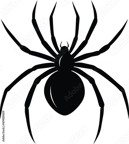 spider on transparent background