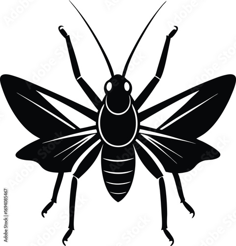 vector illustration of a wasp  on transparent background