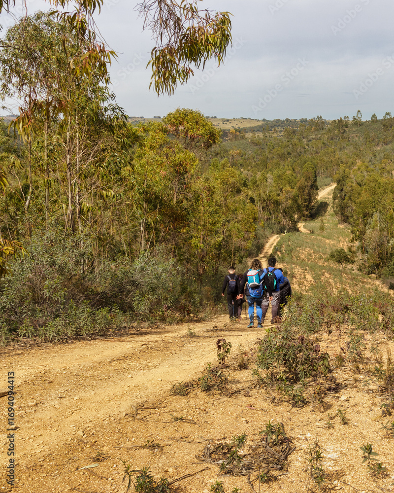 Fototapeta premium A winding trail leads into a forest, with several people walking along it. A natural landscape that evokes adventure and exploration