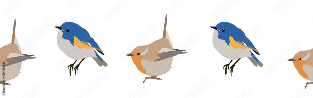 Obraz premium Bird con border. Bird feather silhouette symbol. Bird border isolated on a white background