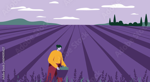 Woman harvesting lavender in a picturesque field under a serene sky. Represents agriculture, rural lifestyle, and natural beauty. Ideal for travel or botanical themes.