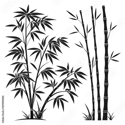 Black bamboo stalks and leaves plant leaf