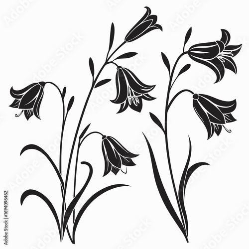 Black floral silhouettes bell shaped flowers nature