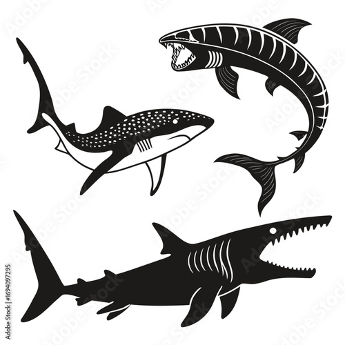 Black sharks white background whale shark prehistoric fish