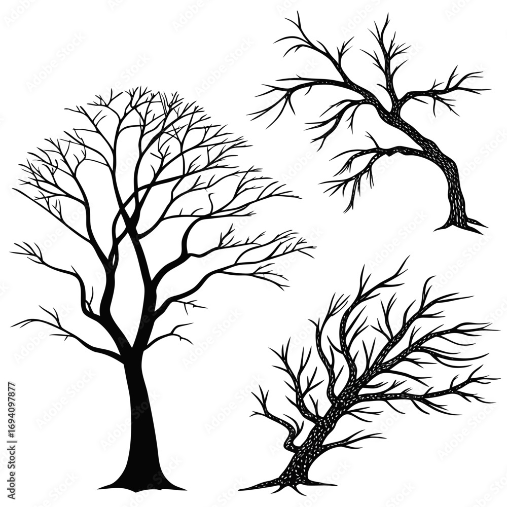 Obraz premium Black tree branches silhouettes bare winter