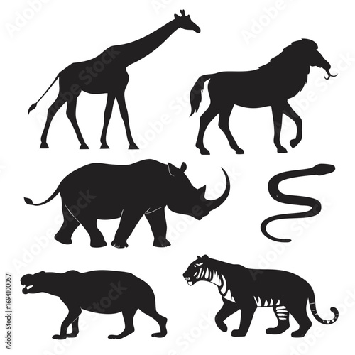 Diverse jungle animal silhouettes giraffe rhinoceros