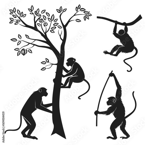 Monkey silhouettes climbing tree and hanging vector