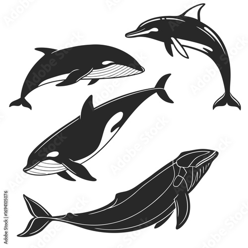 Orca whale dolphin humpback whale silhouettes marine life