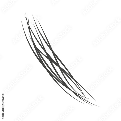 Illustration Gray Hair Vector