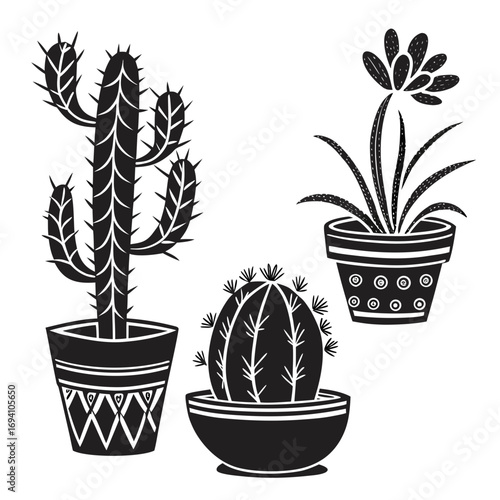 Potted cacti and succulent plants cactus potted plants