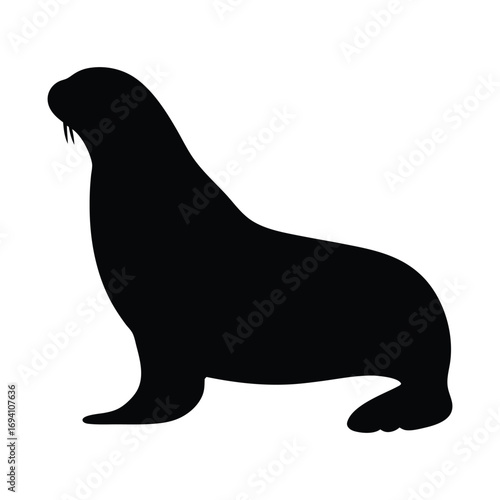 Walrus silhouette vector illustration arctic mammal sea animal wildlife drawing marine life design walrus art