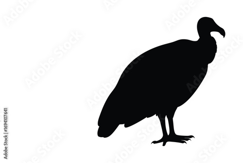 Vulture silhouette vector image for graphic design projects and web design resources download now