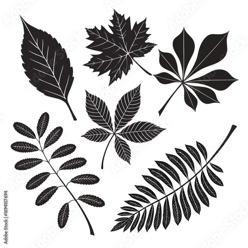 Various leaf silhouettes on white background leaves