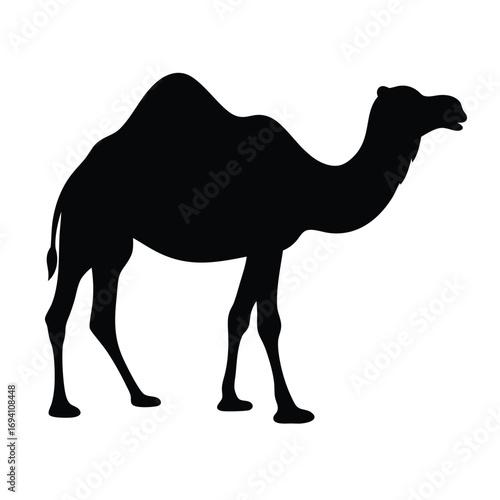 Camel silhouette vector art illustration graphic design desert animal africa middle east travel icon vector