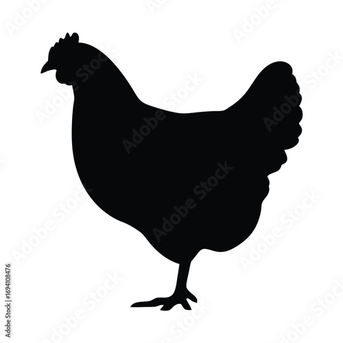 Isolated black chicken silhouette vector image farm animal poultry fowl bird hen design graphic art