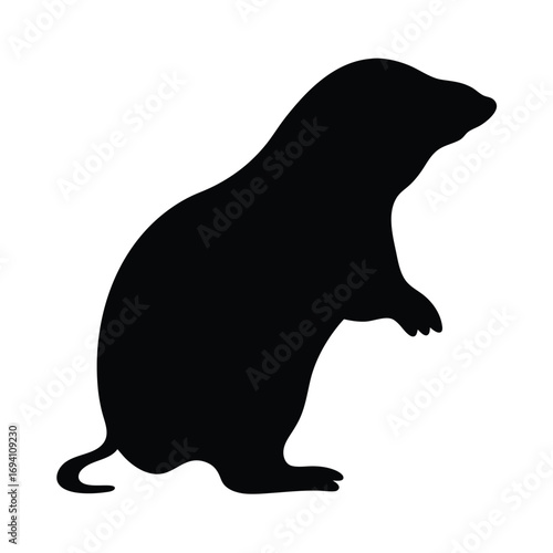 Find black silhouette of a mole animal vector image for design and illustration projects online