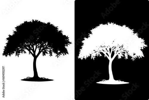 Vector illustration, tree silhouette, with negative image, HD